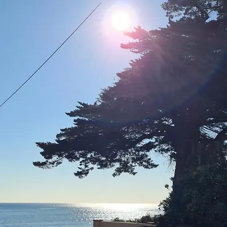 Le Calypso * Saint Aygulf