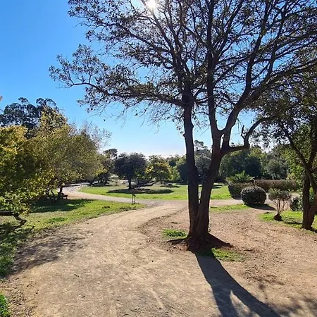 Apartament Le Calypso