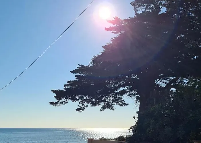 Le Calypso * Saint-Aygulf